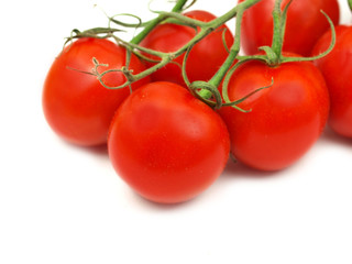 Cherry tomatoes on white background