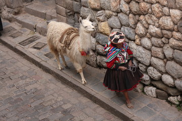 Woman with Llama in Cusco - obrazy, fototapety, plakaty