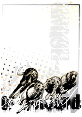 greyhound background