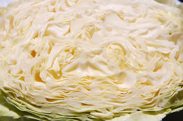 a green cabbage close up or macro