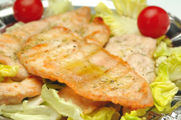 Pollo
