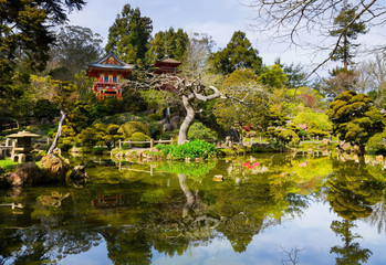 Fototapeta na wymiar Japanese Tea Garden in San Francisco