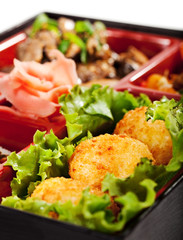 Japanese Cuisine - Bento Lunch