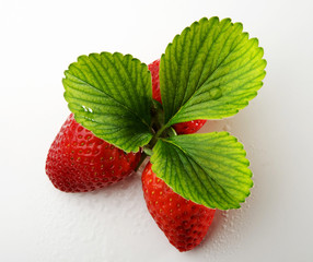 fragola con foglie