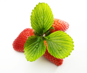 fragola con foglie