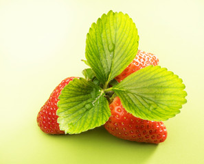 fragola con foglie