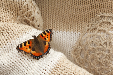 one butterfly seat at hand made sweater on sleeve