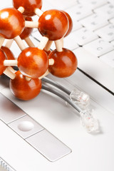 Laptop Lan Connection.