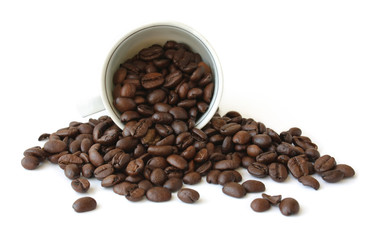 Cup with coffee beans on white background