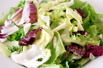 Blattsalat frisch