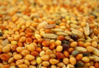 Корм для попугаев.