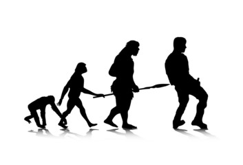 Human Evolution_4