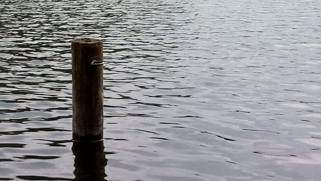 Stimmung am See - At the Lake - Meditation concept
