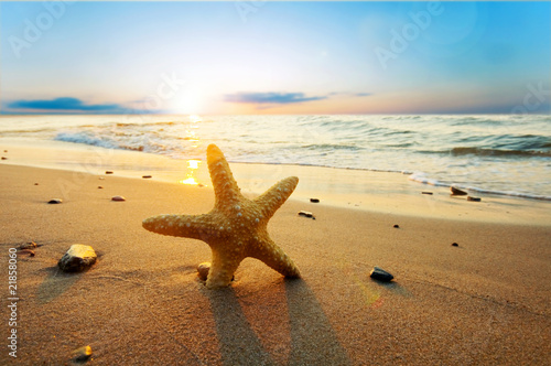 Море лето солнце вода песок желтый бесплатно