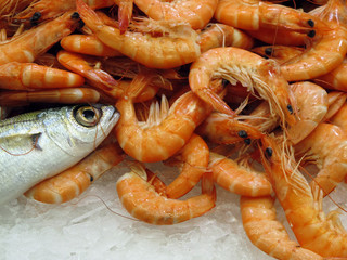 Shrimp and fish on ice