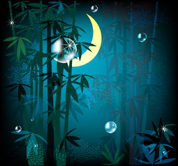 night rainforest - 21859049