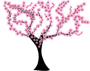 &Aacute;rbpl del almendro