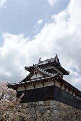 Fototapeta premium Japanese castle