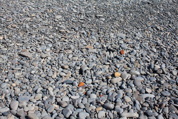 Gray pebbles