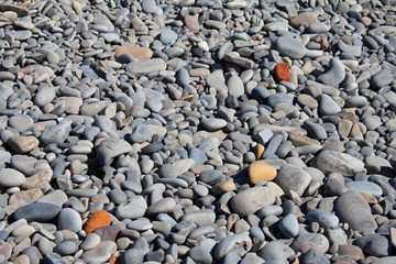 Gray pebbles
