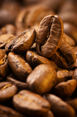 Coffee bean close-up