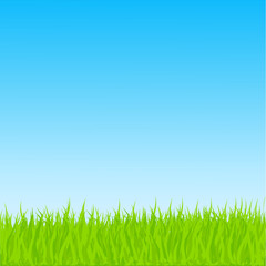 Fototapeta premium Vector Grass