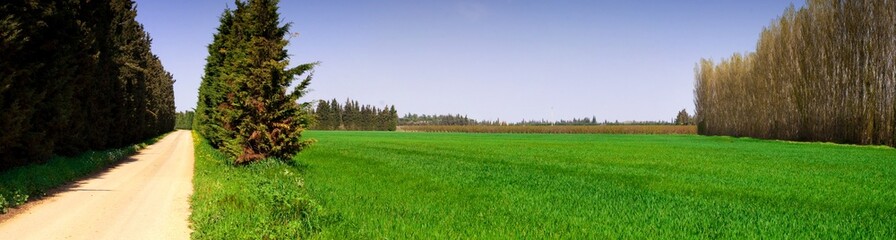 Prairie dans les Costières