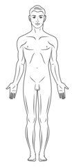 Full lenght front view of a standing naked man