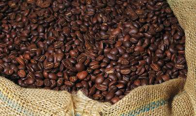 Fresh Coffee Beans in a Sack