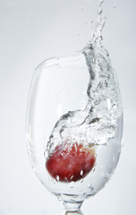 grapefruit splashing into water