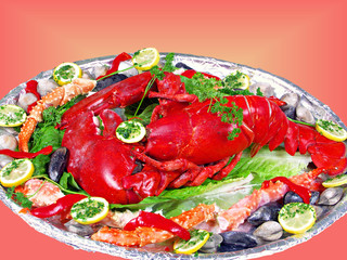 Lobster Platter