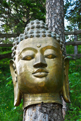 Buddhakopf auf Baumstamm