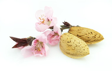 Fototapeta na wymiar Almonds with pink flowers