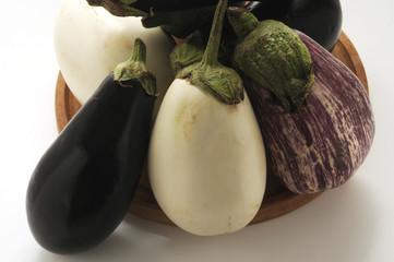 Varieta di melanzane - Solanum melongena