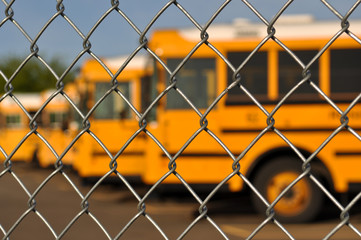 Multiple School Bus with Blue Sky