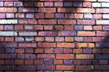 wall