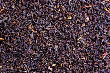 Selected dry black tea leaves