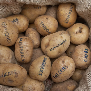 patatas 9