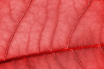 colorful background