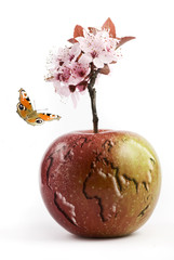 Fototapety na wymiar - Fototapeta24.pl