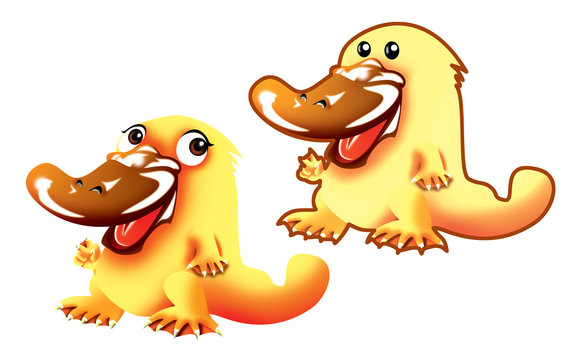 カモノハシのキャラクター Stock イラスト Adobe Stock