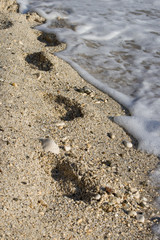 Footprints in the sand