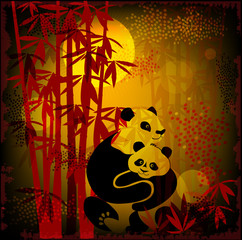 pandas in the  bamboo forest - 21882663