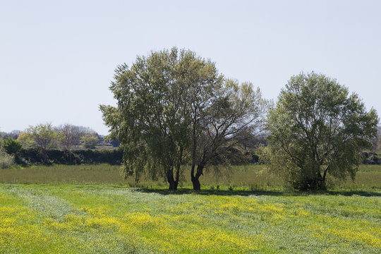 Paesaggio Landscape