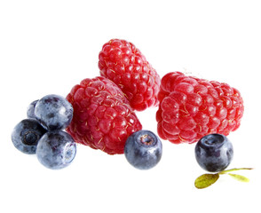 bilberries and raspberries isolated