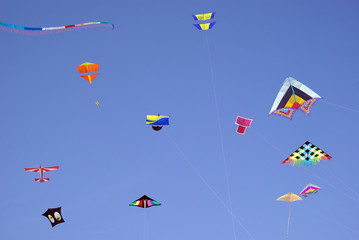 Colourful kites in sky