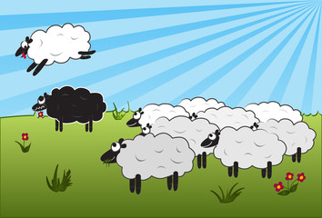 Jumping over black sheep