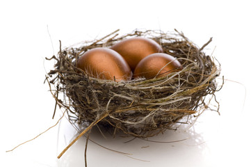 golden eggs in nest