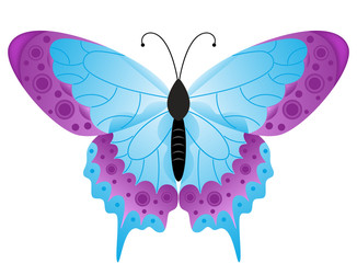 Beautiful illustration of a butterfly, isolated