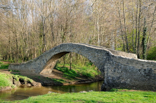 Pont Romain  (Le Cheix sur Morge)